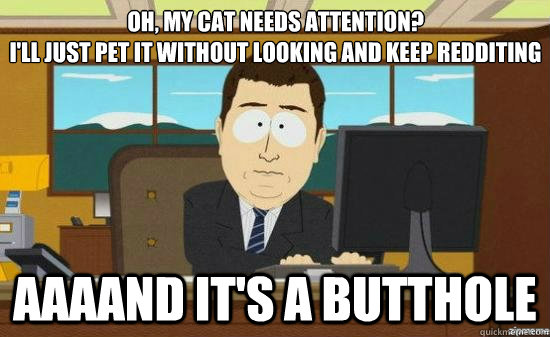 Oh, my cat needs attention?
I'll just pet it without looking and keep redditing AAAAND it's a butthole  aaaand its gone