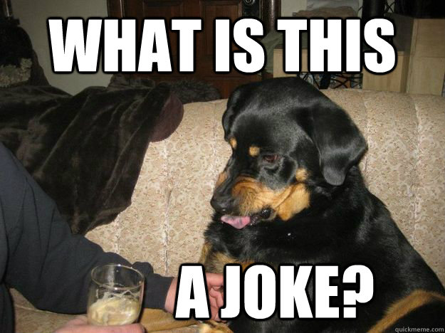 WHAT IS THIS A JOKE?  Beer Snob Dog