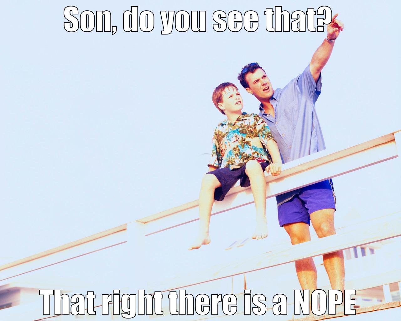 SON, DO YOU SEE THAT? THAT RIGHT THERE IS A NOPE Misc