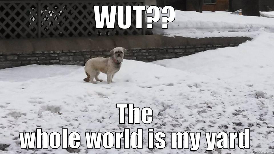 WUT?? THE WHOLE WORLD IS MY YARD Misc