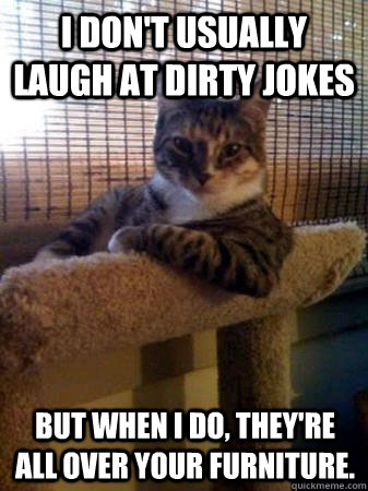 I don't usually laugh at dirty jokes but when I do, they're all over your furniture.  The Most Interesting Cat in the World