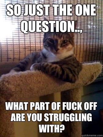 So just the one question.., What part of fuck off are you struggling with?   The Most Interesting Cat in the World