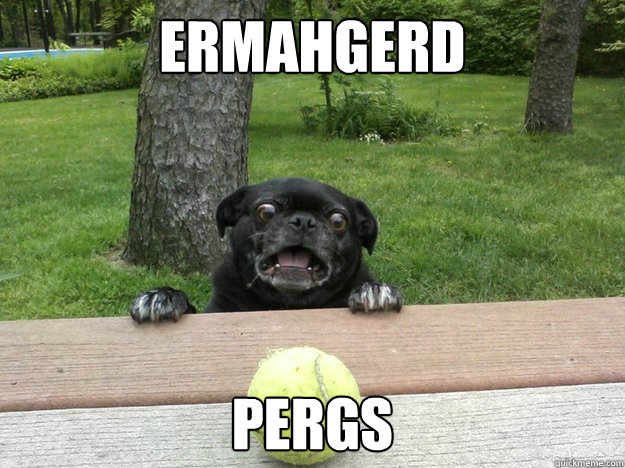 Ermahgerd PERGS  Berks Dog