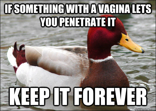 If something with a vagina lets you penetrate it keep it forever  Malicious Advice Mallard