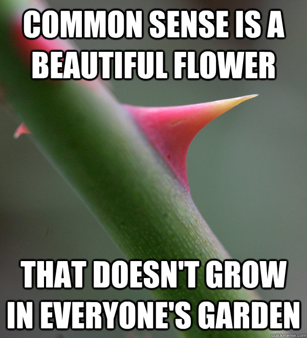 common sense is a beautiful flower that doesn't grow in everyone's garden  Self Important Prick