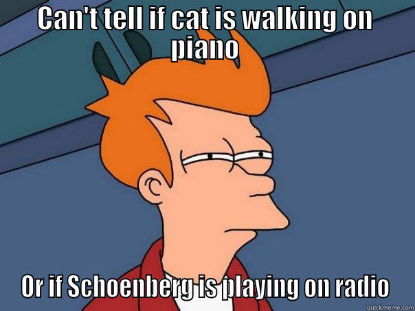 CAN'T TELL IF CAT IS WALKING ON PIANO OR IF SCHOENBERG IS PLAYING ON RADIO Futurama Fry