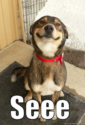   SEEE Good Dog Greg