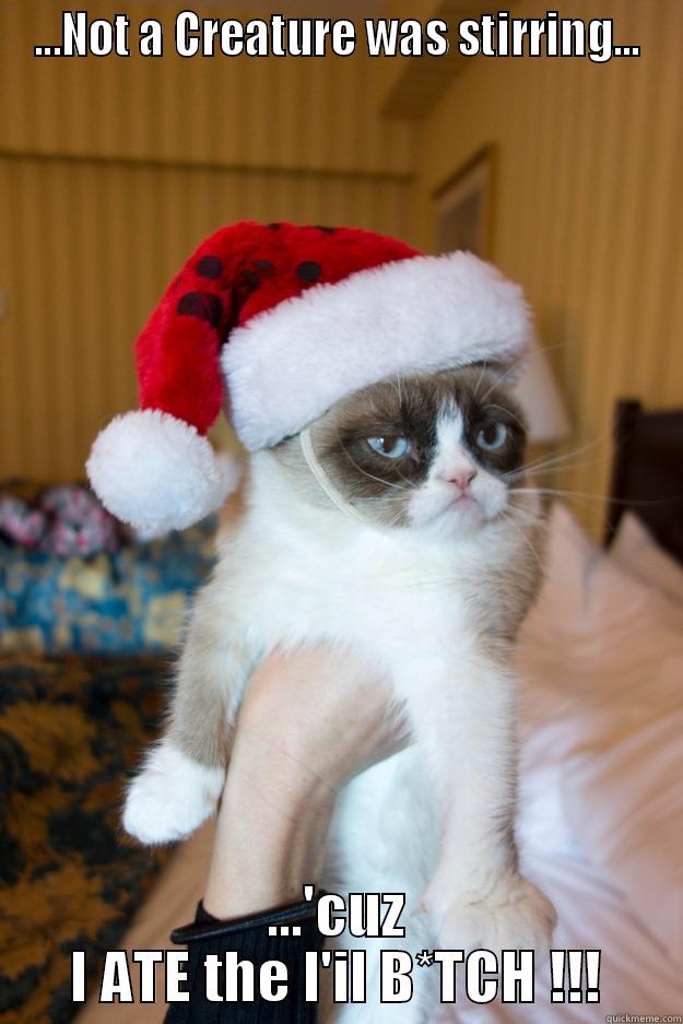 The Fright Before Christmas - ...NOT A CREATURE WAS STIRRING... ...'CUZ I ATE THE L'IL B*TCH !!! Grumpy xmas