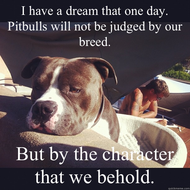 I have a dream that one day. Pitbulls will not be judged by our breed. But by the character that we behold.  Neglected Pitbull