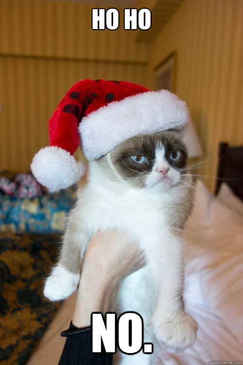 Ho ho No. - Ho ho No.  Christmas Grumpy Cat