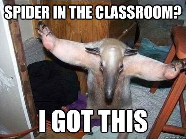 spider in the classroom? i got this  I got this