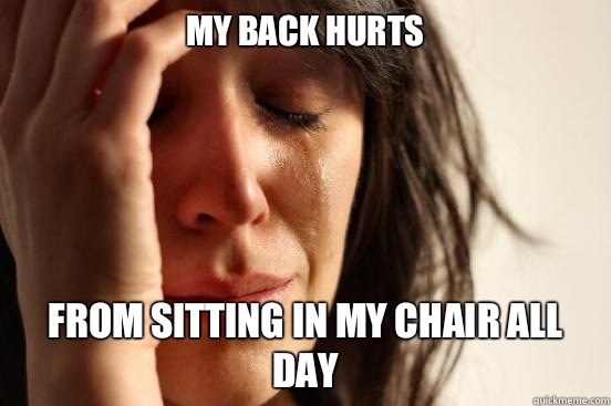 My back hurts From sitting in my chair all day  First World Problems