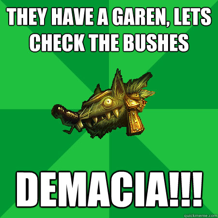 they have a garen, lets check the bushes demacia!!!  Bad LoL Player