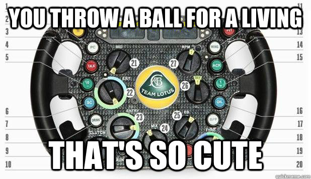 You throw a ball for a living That's so cute  invalid argument by F1 steering wheel