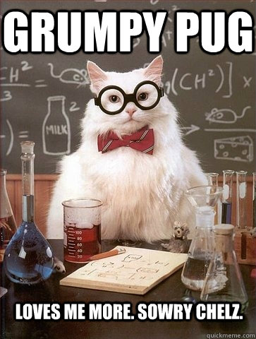 Grumpy pug loves me more. sowry chelz.  Chemistry Cat