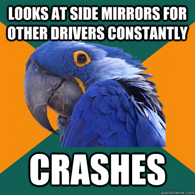 Looks at side mirrors for other drivers constantly Crashes  Paranoid Parrot