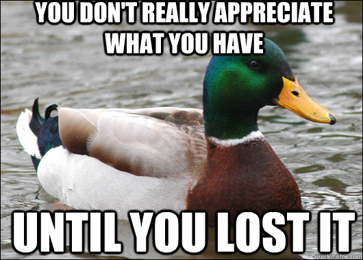 you don't really appreciate what you have until you lost it   Actual Advice Mallard