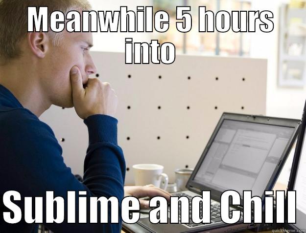 Meanwhile 5 hours - MEANWHILE 5 HOURS INTO  SUBLIME AND CHILL Programmer