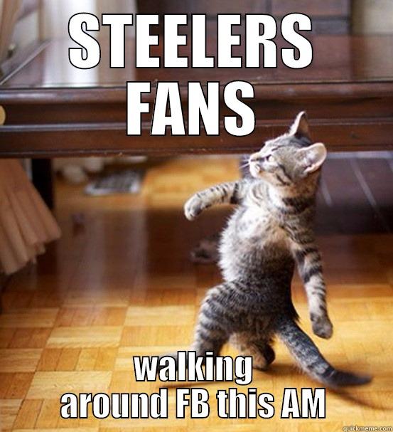 STEELERS FANS WALKING AROUND FB THIS AM Misc