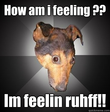 How am i feeling ?? Im feelin ruhff!!  Depression Dog
