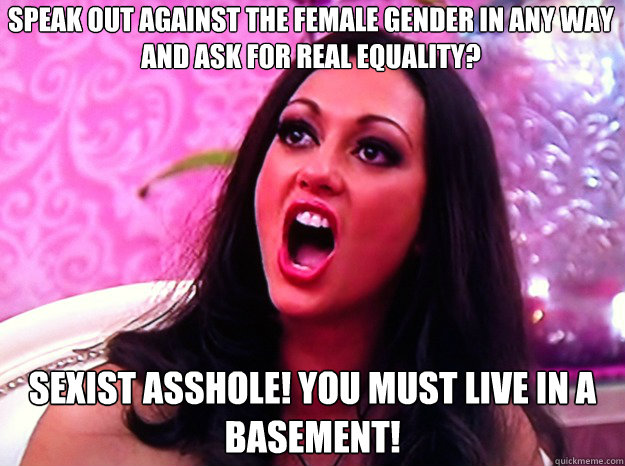 Speak out against the female gender in any way and ask for real equality? Sexist asshole! you must live in a basement!  Feminist Nazi