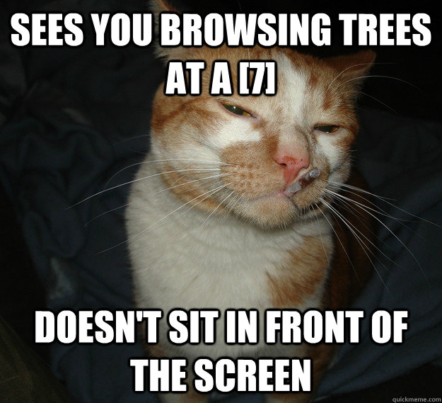 sees you browsing trees at a [7] doesn't sit in front of the screen  Cool Cat Craig