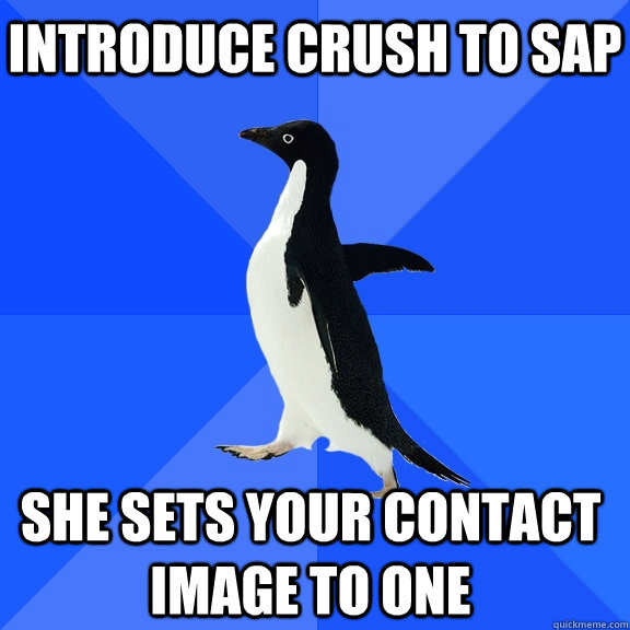 Introduce crush to SAP she sets your contact image to one    Socially Awkward Penguin
