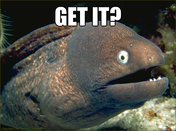 Get it?   Bad Joke Eel