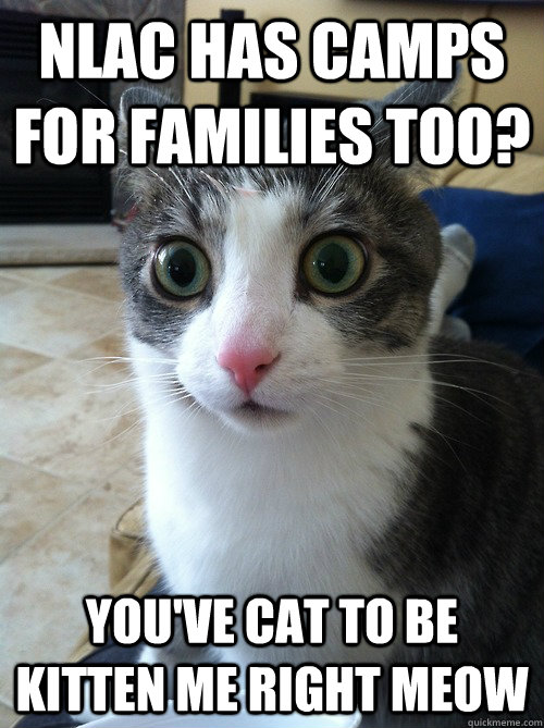 NLAC has camps for families too? You've cat to be kitten me right meow  Sudden Clarity Cat