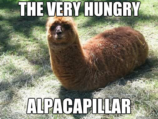 The very hungry Alpacapillar  Alpacapillar