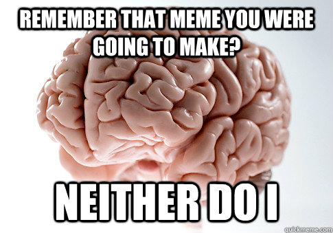 Remember that meme you were going to make? Neither do I  Scumbag Brain
