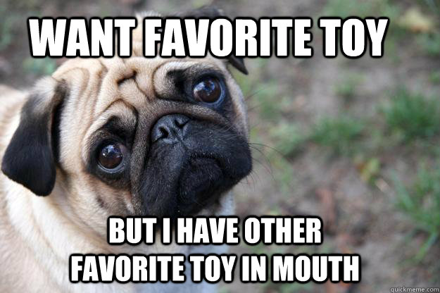 Want favorite toy But I have other favorite toy in mouth  First World Dog problems