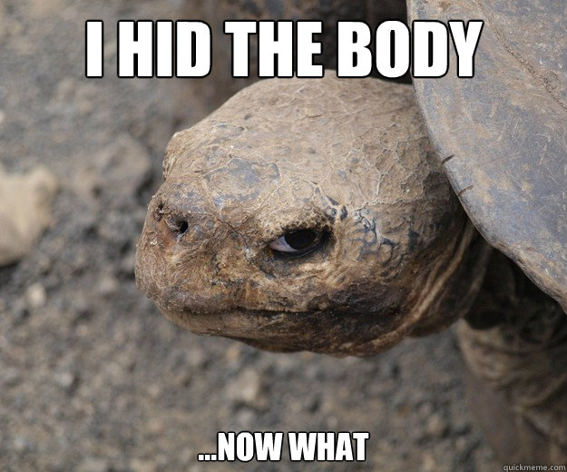I hid the body ...now what  Insanity Tortoise
