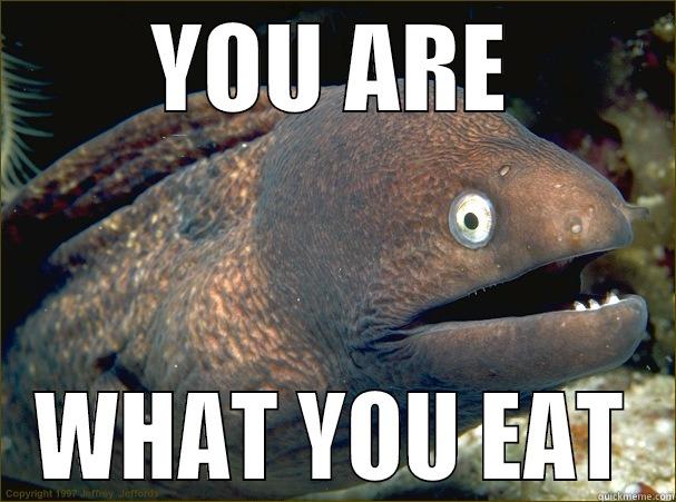 YOU ARE WHAT YOU EAT Bad Joke Eel