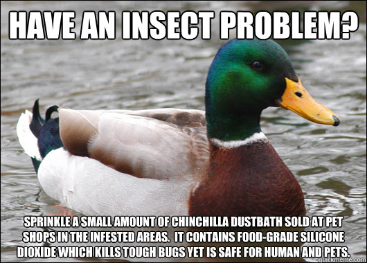 Have an insect problem? Sprinkle a small amount of chinchilla dustbath sold at pet shops in the infested areas.  It contains food-grade silicone Dioxide which kills tough bugs yet is safe for human and pets.  Actual Advice Mallard