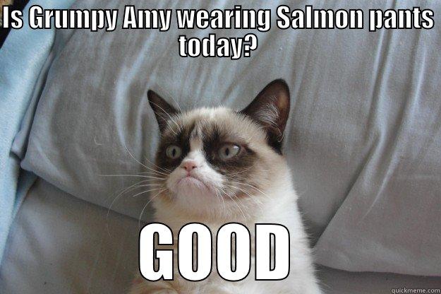 IS GRUMPY AMY WEARING SALMON PANTS TODAY? GOOD Grumpy Cat