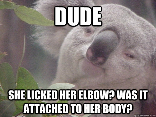 Dude She licked her elbow? was it attached to her body?   Koala