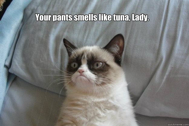 Your pants smells like tuna, Lady.   tard grumpy cat