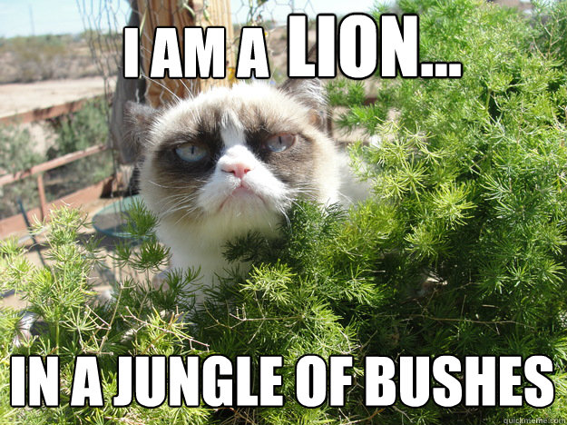 I am a  lion... in a jungle of bushes  
