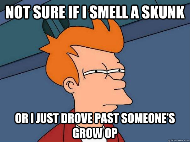 Not sure if I smell a skunk Or I just drove past someone's grow op  Futurama Fry