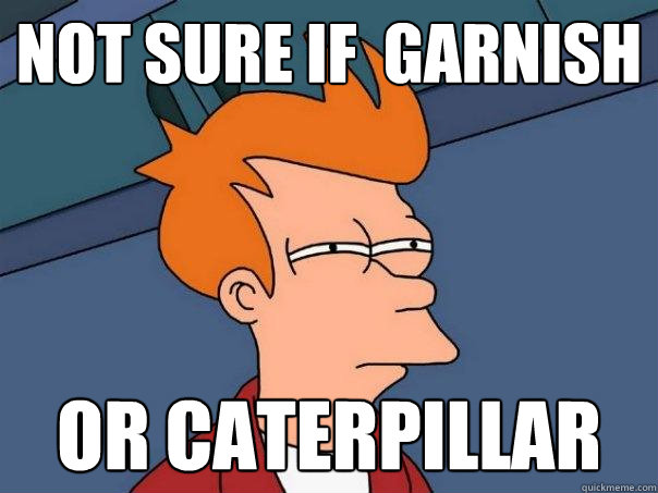Not sure if  garnish or caterpillar  Futurama Fry