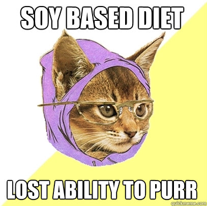 soy based diet lost ability to purr  Hipster Kitty