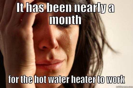 IT HAS BEEN NEARLY A MONTH  FOR THE HOT WATER HEATER TO WORK First World Problems