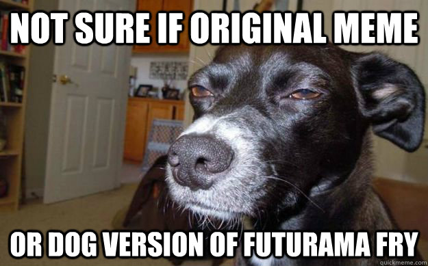 Not sure if original meme or dog version of Futurama Fry  Skeptical Mutt