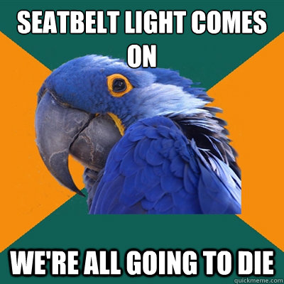 Seatbelt light comes on We're all going to die  Paranoid Parrot