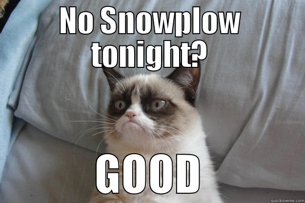 Snow days - NO SNOWPLOW TONIGHT? GOOD Grumpy Cat