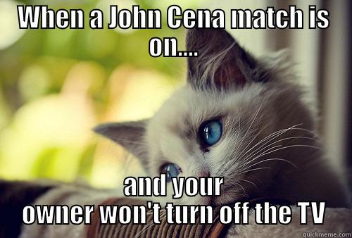 WHEN A JOHN CENA MATCH IS ON.... AND YOUR OWNER WON'T TURN OFF THE TV First World Problems Cat