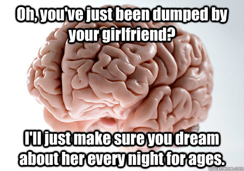 Oh, you've just been dumped by your girlfriend? I'll just make sure you dream about her every night for ages.   Scumbag Brain