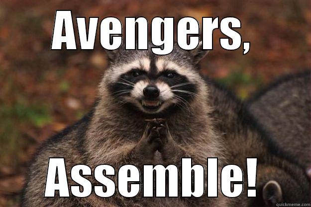 AVENGERS, ASSEMBLE! Evil Plotting Raccoon