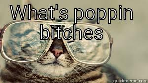 WHAT'S POPPIN BITCHES  Misc